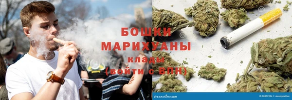 стаф Пестово