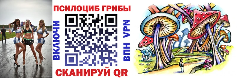 дарнет шоп Хасавюрт Псилоцибиновые грибы Psilocybine cubensis