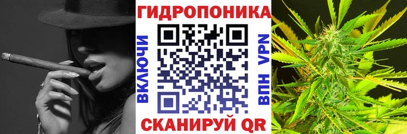 купить закладку  Хасавюрт  ОМГ ОМГ ТОР  Бошки Шишки индика 